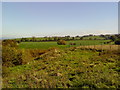 Fields near Thornton in Craven