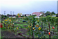 Kenilworth Gardens Allotment