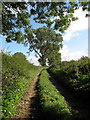 Farm track off the B1140 road