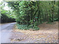 Saxon Shore Way on Aldington Road