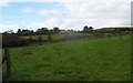 Gwyniasa farmhouse viewed across farmland