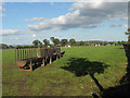 Cattle troughs and livestock