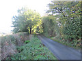 Lane to Bwlchyddar from Mynydd Jaram