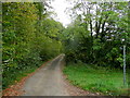 Footpath into Prior