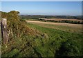 Field near Furzedown Cross