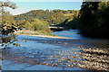 Island and shingle bank in the Tweed