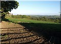 Field near Rowden