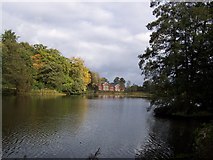 SU7372 : View across Whiteknights Lake by Andrew King