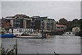 The Mouth of the River Crane