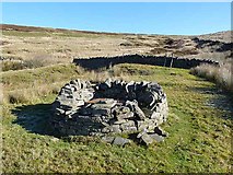 NY8645 : Head of disused mine shaft by Oliver Dixon