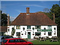 The Oak and Ivy, Hawkhurst