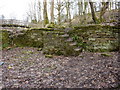 Industrial remains below Blackpit Mill Chimney