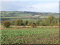 Farmland above West Fell