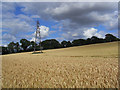 SU6947 : Farmland with pylon, Weston Patrick by Andrew Smith