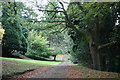 Track through the grounds of Elim Conference Centre