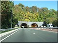 Monmouth tunnels from the south