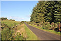NH9147 : Minor road near Knockaneorn by Steven Brown