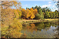 Lochan near Ardclach