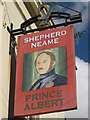 Prince Albert sign