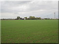 View towards Fen Farm