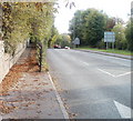 Separate pavement alongside Monmouth Road, Abergavenny