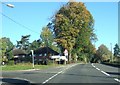 Autumn colour by A49, Hadnall