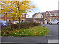 Cherrywood Green Houses