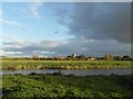 Looking towards Muchelney from the River Parrett