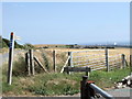 Downland signage near Brighton