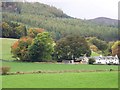 Autumnal colours at Balnacraig, Pitlochry