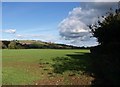 Field, Latchmoor Green