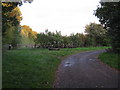 Track, bridleway and path, near Bills Lane