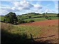 Field at Bidwell Cross