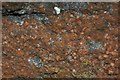 SK7605 : Oolitic Limestone by Ashley Dace