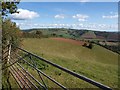 Steep field beside Northdown Road