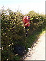 ST8029 : Milton on Stour: postbox № SP8 73, Mapperton Hill by Chris Downer