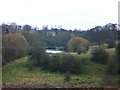 Fish-ponds of the former Croxton Abbey