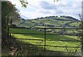 Gate and field, Ravenscott