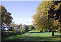 Bantock Park at Bradmore, Wolverhampton