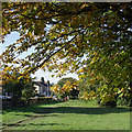 Bantock Park at Bradmore, Wolverhampton