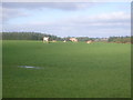 Grazing land near Lower Cotburn