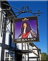 SO7875 : The Black Boy - pub sign, 50 Wyre Hill by P L Chadwick
