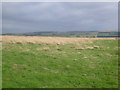 Farmland near Tippercowan