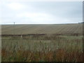 Farmland near Meikle Blackhill