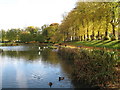 The lake in Maxwell Park