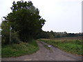 TM3777 : Footpath to the B1123 Chediston Road by Geographer