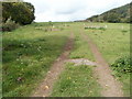 Tracks through a field, Chain Road, Abergavenny