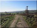 Spitty Lane above Catton