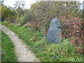 Sculpture in Tuckingmill Valley Park