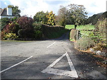 SJ0808 : Lane from A495 approaching Dolgead Hall by John Firth
